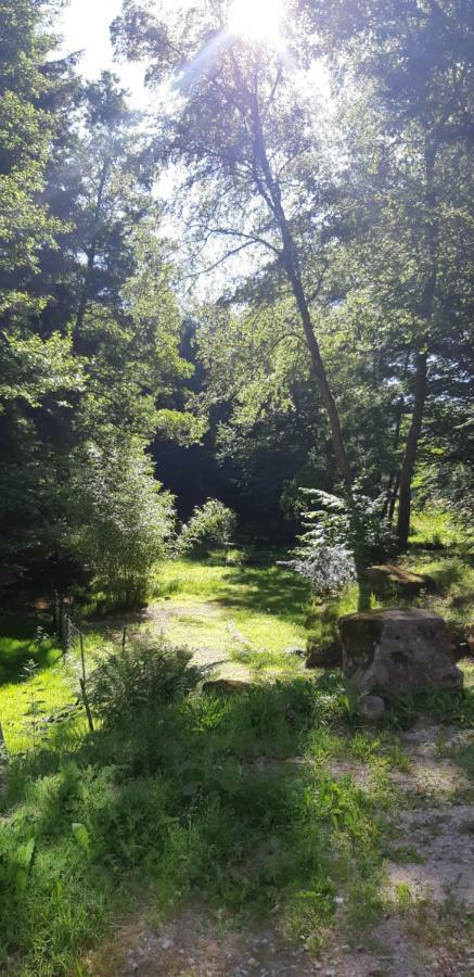 Gite De La Baerenbach Haselbourg Exteriör bild