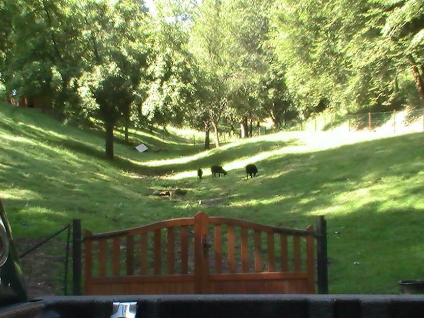 Gite De La Baerenbach Haselbourg Exteriör bild